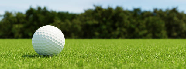 Eagle Swing Club