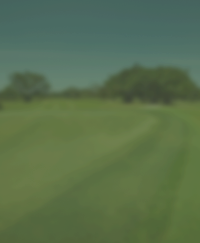 Golf course background mobile